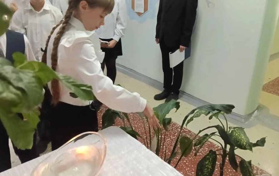 «Капля жизни»: помнить, чтобы беречь мир